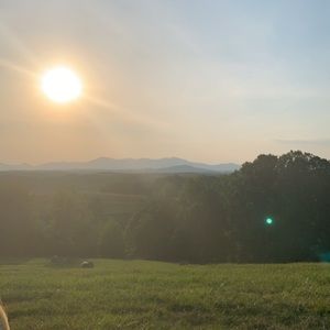 Meet your Posher, Camille